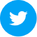 Twitter Color Logo