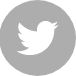 Twitter Logo