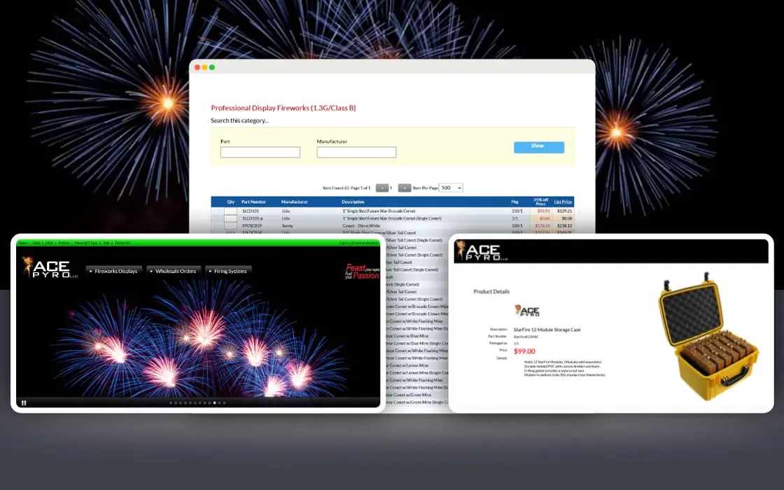 ACE PYRO - Warehouse Management System (WMS) Software