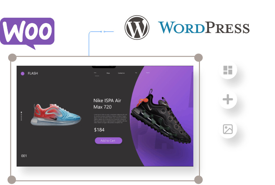 WordPress Development Company