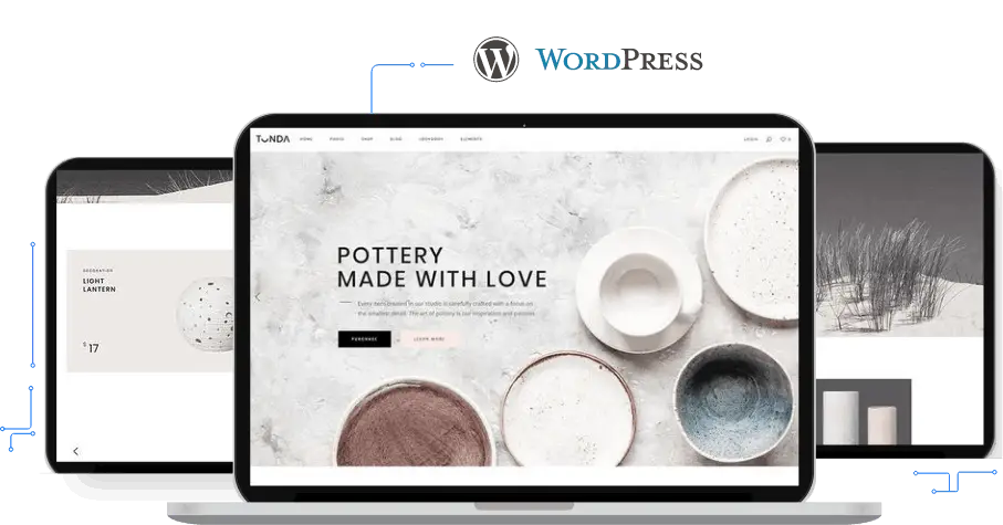 Top WordPress Development Company and Custom WordPress Development Services
