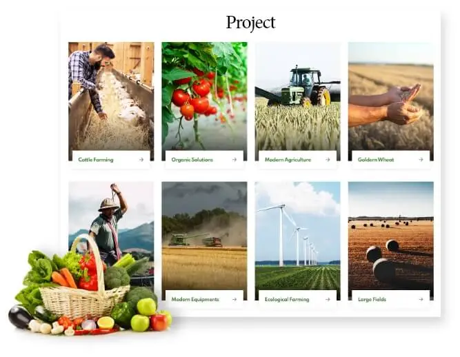 Intriguing Portfolio Visuals for farms website design