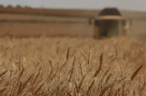 Agriculture Website Design