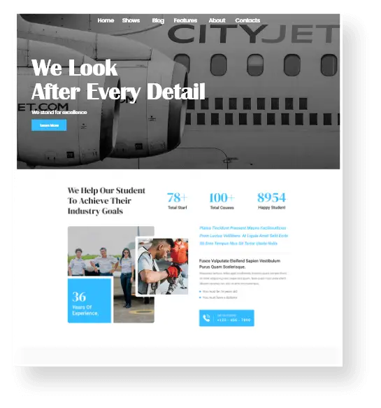 Aircraft Web Development services