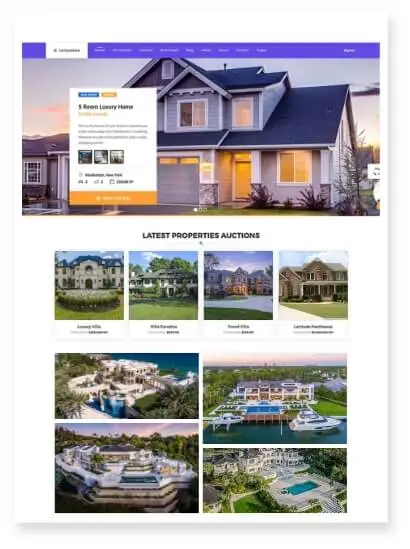 Auction Website Design & Development Agency