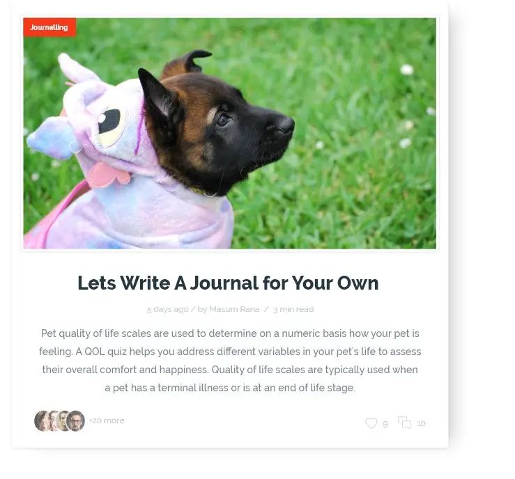 Blogs For Pet ProductsWebsite Designing