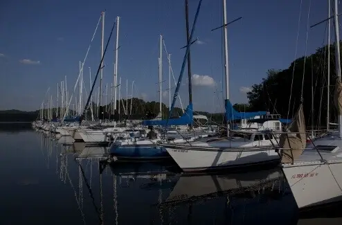 Boat Dealers