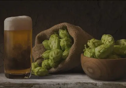 Breweries Responsive Banner