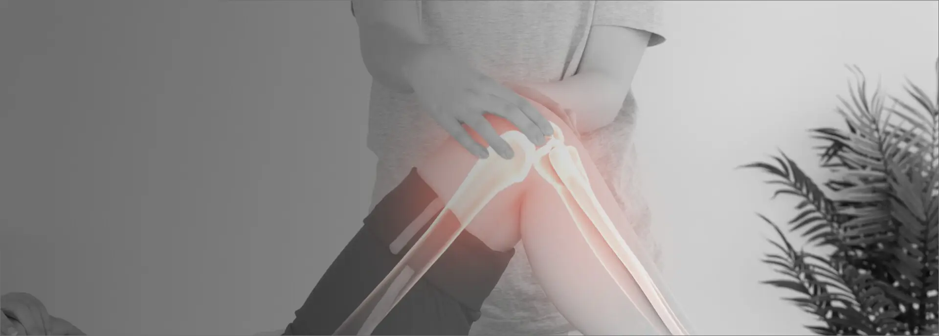 chiropractic web design