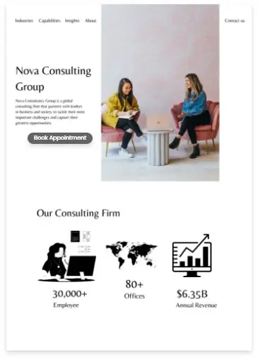 Consultant Web Design agency