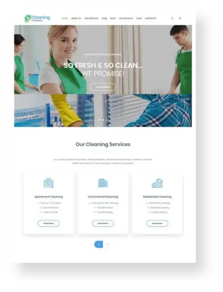 Our Website Design  for Cleaning service 