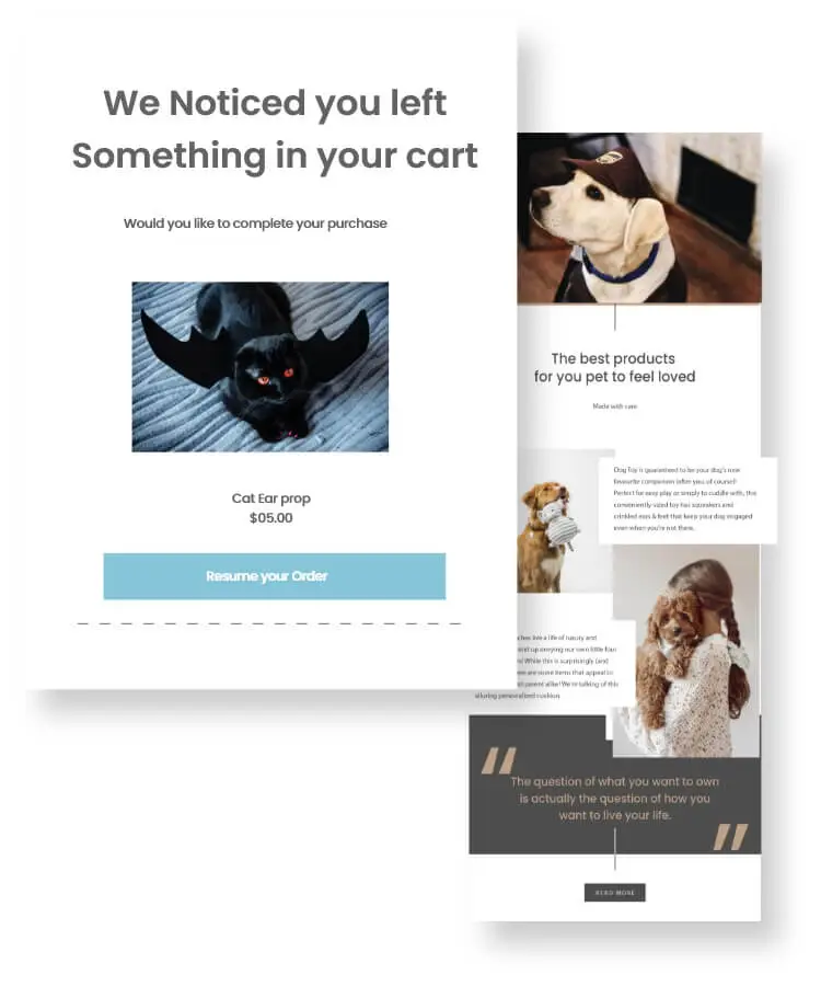 Email Marketing Pet Products