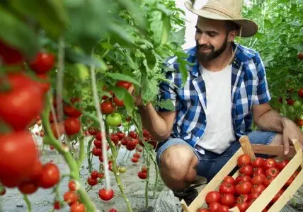 Farm web Design Agency