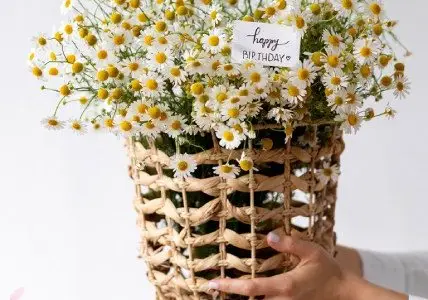 Flower Shop Website Design