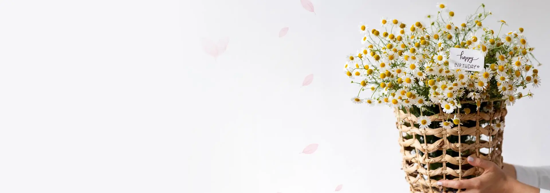 Florist Website Design Agency