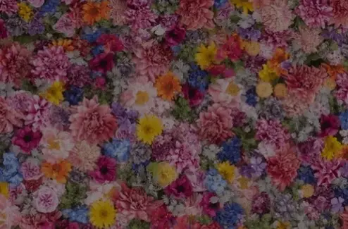 Florists Website Development