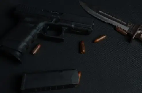 Gun Stores Website Development