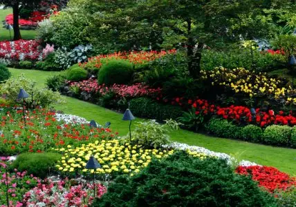 lawn care web design