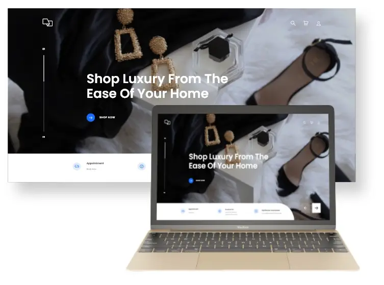 Develop Luxury Store Websites Design