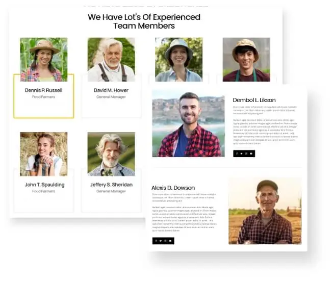 Meet The Team Members Page for farms website design