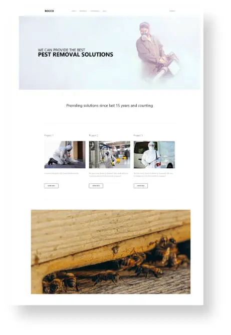 Pest Controls Website Design