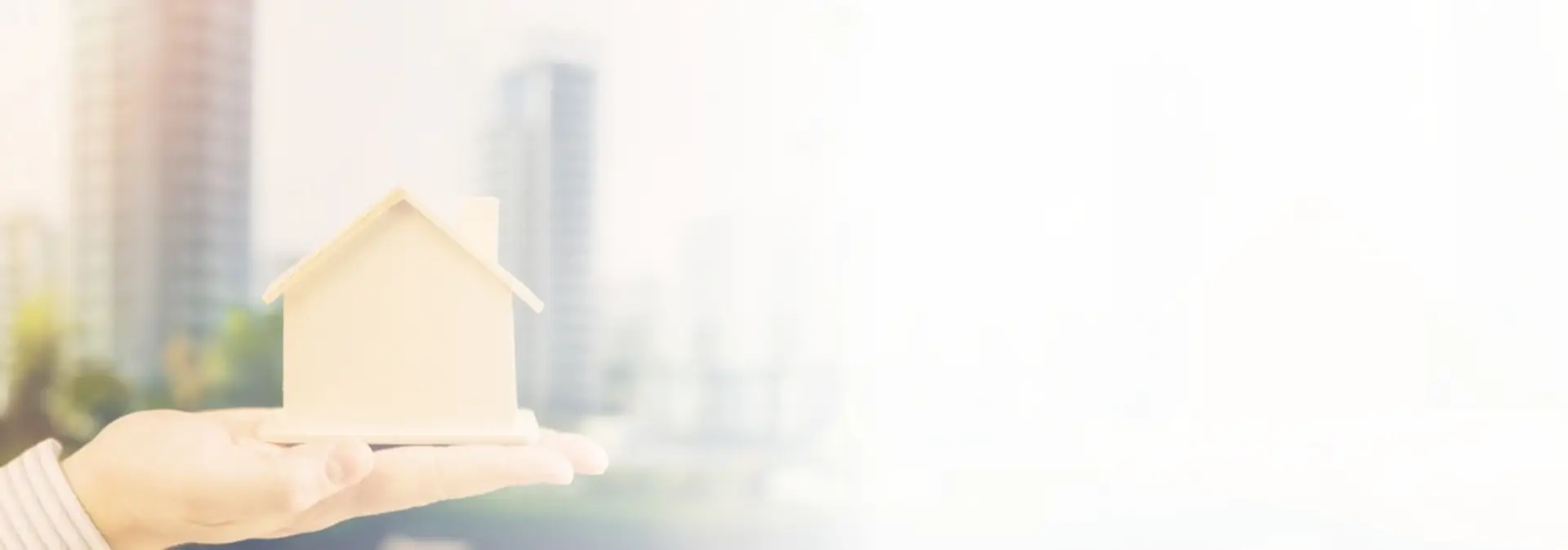 real estate portal development