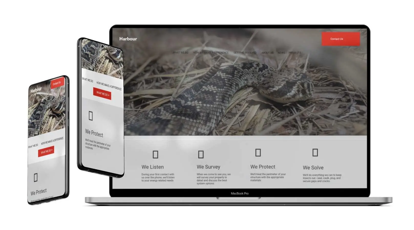 Email Marketing for Pest Control
