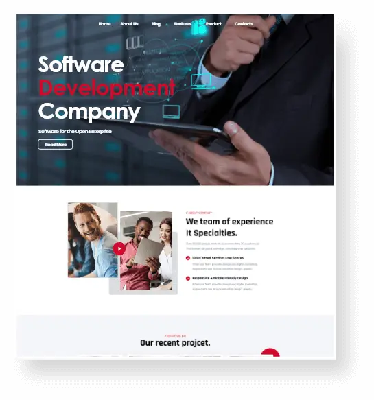 Software Companies Website Design