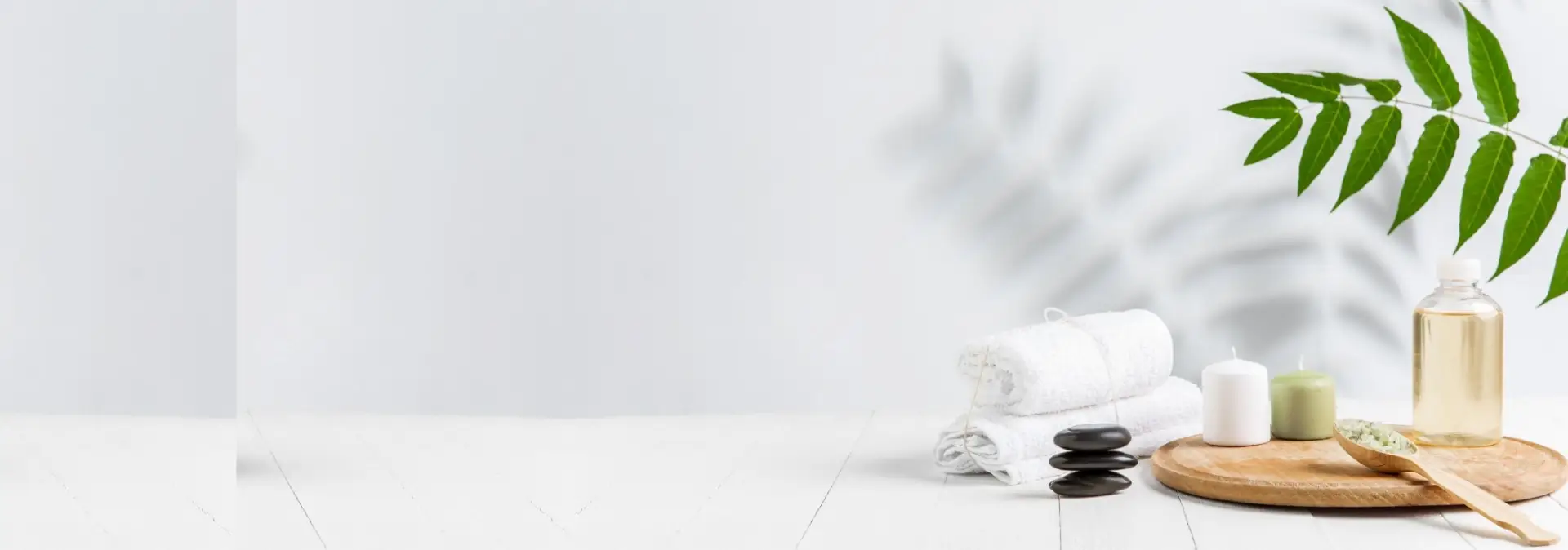 spa website design