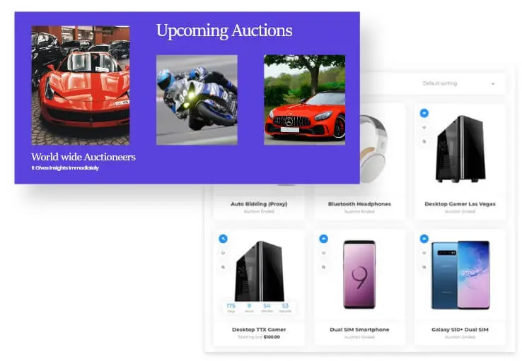 Start Your Shop With A Perfect Layout Auction