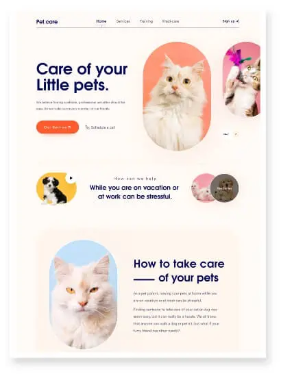 Veterinarians Web Design Development Agency