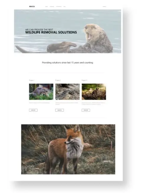 wildlife removal website services