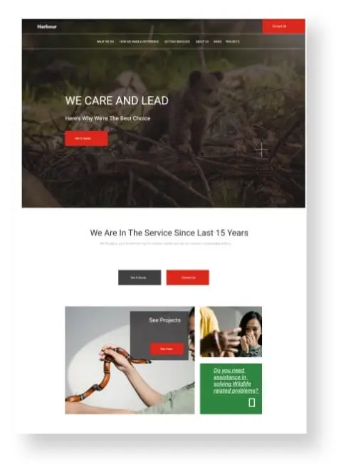 web design for pest control companies