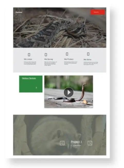 Wildlife Removal Image