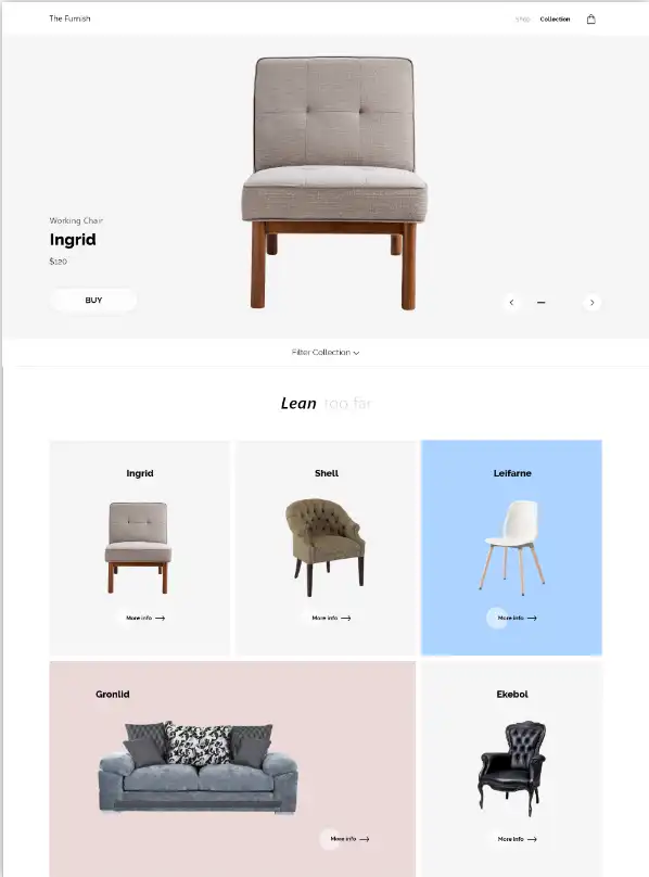 Ecommerce site developer