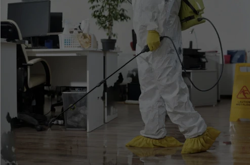 Cleaning Services Website Design