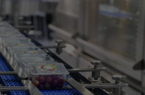 Food & Beverage Manufacturing