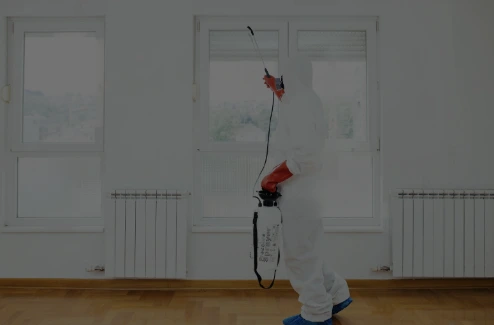 Pest Control Website Design
