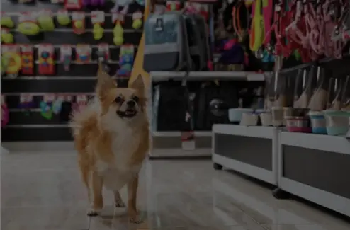 Pet Store