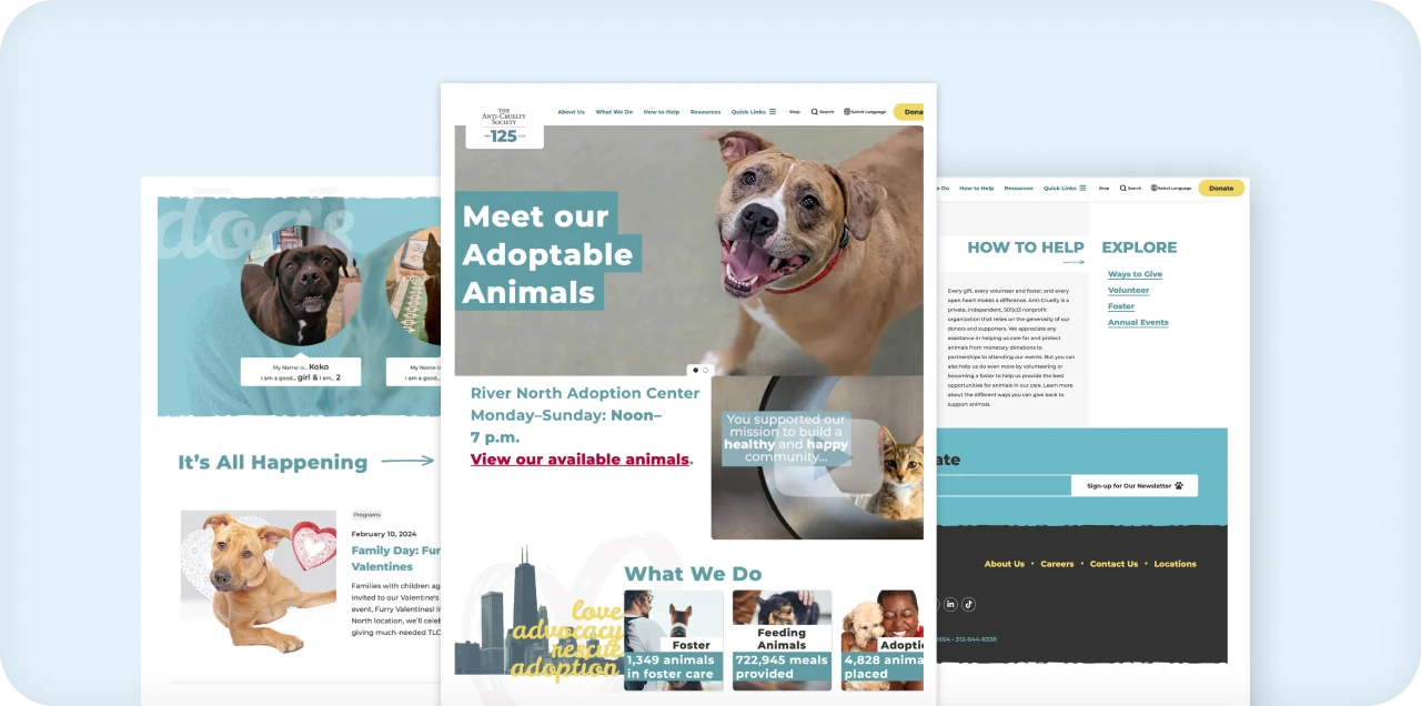 Animal Adoption Website Design