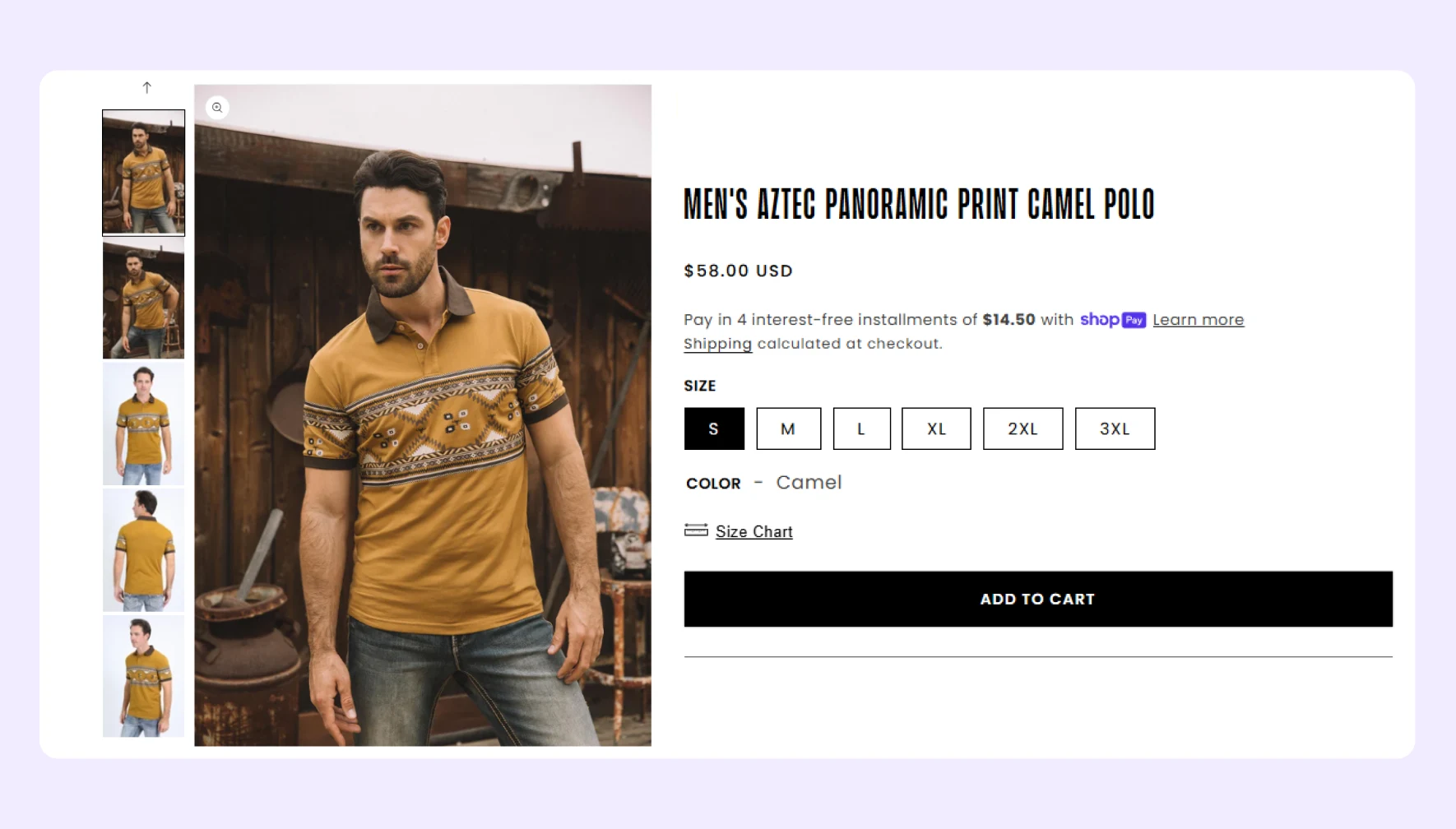 Shopify Artist Website Development Solutions
