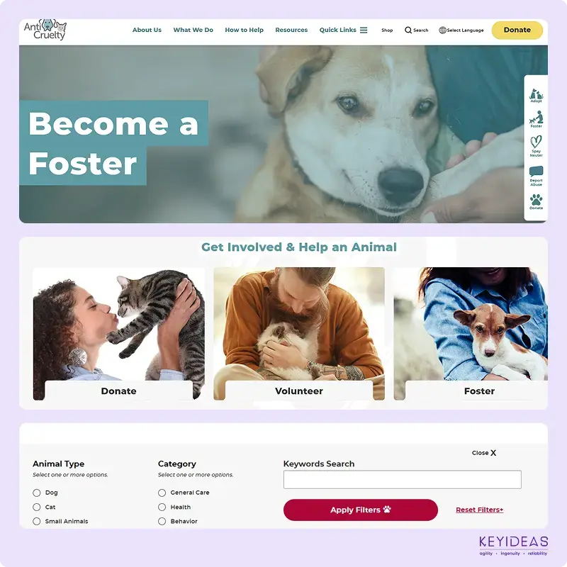 UX UI design for task tracker