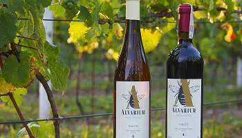 Regional winery website for Winnica Alvarium