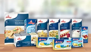Foodservice website design for Anchor Foods