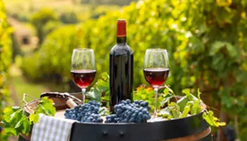 Innovative wine brand website for Black Elephant Vintners
