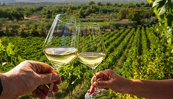 Fine wine merchant website for Corney & Barrow
