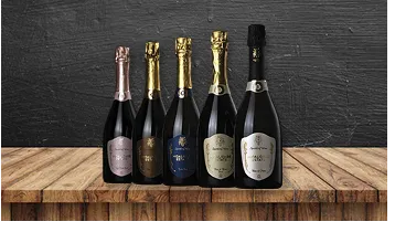 Hospitality and wine website for Midalidare Estate