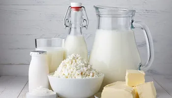 Industrial dairy B2B website for Solarec