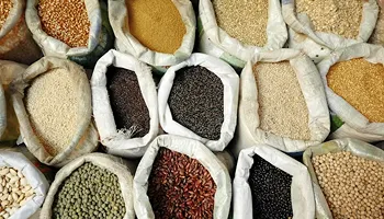 Bulk food e-commerce website for Weigh n Pay