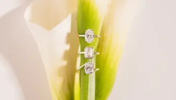 Jewelry Website Theme Development 125 Sustainable bridal jewelry e-commerce website for Zen Moissanite